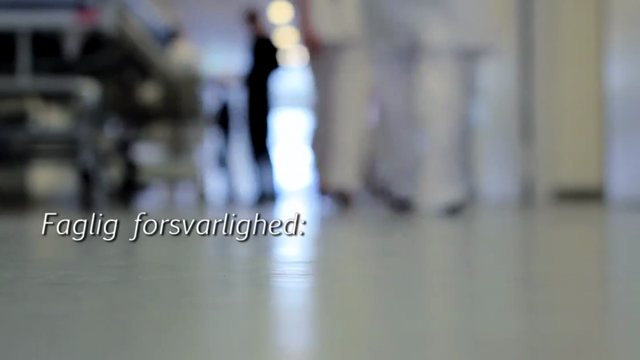 Faglig forsvarlighed - travl